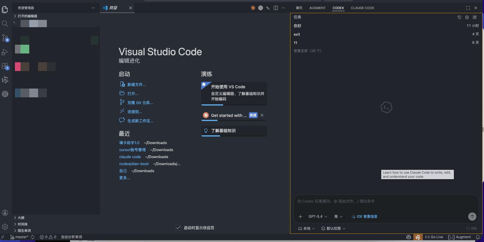 图片展示的是配置好Codex(OpenAi - Chat gpt)后出现的Visual Studio Code界面。界面左侧有“启动”“打开文件”等选项，下方是