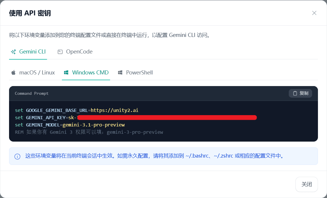 图片展示了在Windows系统中使用API密钥配置Gemini CLI的界面。界面中有Gemini CLI和OpenCode选项卡，当前选中Gemini CLI